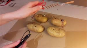 La pomme de terre est principalement constituée d'amidon, un glucide complexe, et sa teneur en gras et en cholestérol est quasiment nulle. La Patate Electrique Youtube