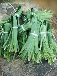 Coconut rice is a dish prepared by soaking white rice in coconut milk or cooking it with coconut flakes. Food And Beverage Dry Pandan Leaf Producers From Bengaluru
