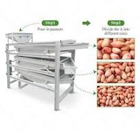 Peanut Sorting Grading Machine - Gondor Machinery