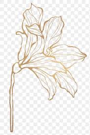 156,000+ vectors, stock photos & psd files. Detailed Golden Leaves Transparent Pg Premium Image By Rawpixel Com Nunny Floral Vector Png Flower Drawing Leaf Outline