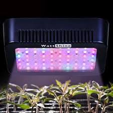 Energy & cost efficient led lights. Watt Shine Led Grow Lights 300w Growing Lighting Full Spectrum Grow Light Plant Light Grow Lamp Uv Ir Plant Lamp For Greenhouse And Indoor Plant Grow Prices Shop Deals Online Pricecheck