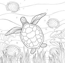 Find another picture on coloring pages pumpkin, number coloring, and etc. Free Turtle Coloring Pages For Download Pdf Verbnow
