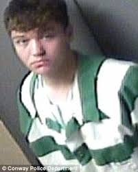 Arkansas boy Justin Staton pleads guilty to robbing and killing couple who  raised him