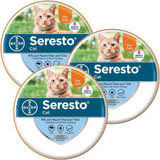 Maybe you would like to learn more about one of these? Seresto Collar For Cats 3 Pack Flea And Tick Fleas Ticks On Cats