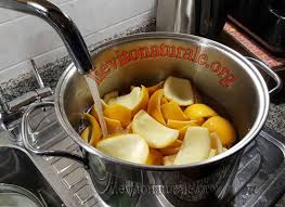 We did not find results for: Canditi Di Arancia E Limone Dal Sito Del Lievito Madre Naturale