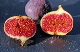 In the colder areas of the state, the ideal site would be the. Planting And Caring For Fig Trees A Guide Lawnstarter