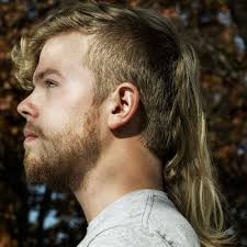 This hairstyle, just like any other layered hairstyle, is perfect for men of all sizes and hair textures. 30 Cool Mullet Hairstyles Modern Short Long Mullet Haircuts 2021