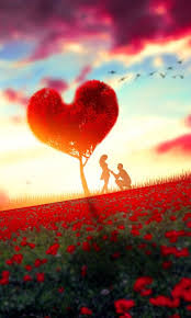 Couple Romantic Moment Rose Farm Tree Sunset 480x800 Wallpaper Love Wallpaper Hd Wallpaper Iphone Amazing Hd Wallpapers