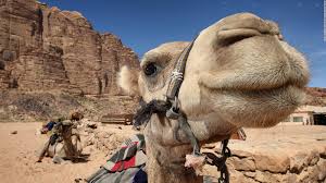See more of iordania on facebook. Can Jordan S Indiana Jones City Of Petra Survive Cnn Travel