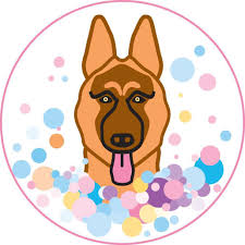 Bubble & Bark Dog Grooming