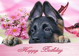 Funny Birthday Wishes In German Personalised Mum Birthday Card Ebay Animales Pastor Aleman Feliz Cumpleanos