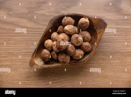 Image result for Vigna subterranea