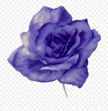Choose a custom design for your blog. Blue Rose Flower Naruto Image Ino Yamanaka Blue Watercolor Purple Rose Tumblr Background Png Flowers Transparent Tumblr Free Transparent Png Images Pngaaa Com