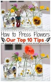 Add a spoonful of sugar or flower food and hydrate the flower for a few hours. How To Press Flowers Red Ted Art Make Crafting With Kids Easy Fun Pressed Flowers Diy Pressed Flower Crafts Dried And Pressed Flowers