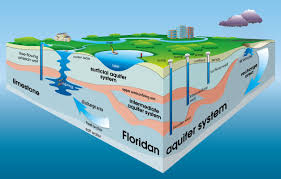 Learn More About Your Connections To The Aquifer Check Out Www Sjrwmd Com School Levels Water Table High School