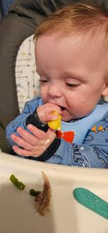 Basic tomato soup recipe for 6 month old