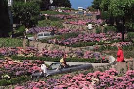 We did not find results for: Tolls Reservations For Sf S Lombard Street Approved By California Lawmakers