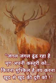 Pin By Niyati Mathur On Quotes Osho Quotes On Life Osho Quotes Rumi Love Quotes