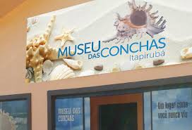 We did not find results for: Inicio Museu Das Conchas