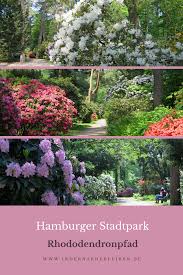 Der Pilgerweg Im Hamburger Stadtpark Stadtpark Hamburg Stadt