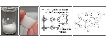 Maybe you would like to learn more about one of these? Synthesis And Characterization Of A Novel Controlled Release Zinc Oxide Gentamicin Chitosan Composite With Potential Applications In Wounds Care Sciencedirect