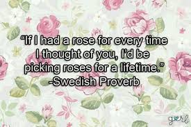 Great Things To Send To A Crush For Valentine S Day Secret Admire Quotes For Your Crush Crush Quotes Funny Quotes For Teens