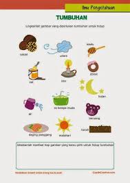 Lembar kerja tk tema tanaman. December 2014 Page 3 Cupidocreativeblog