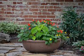 Family owned florist since 69 local delivery flowers Top Ten Texas Container And Annual Gardening Ideas Lee Ann Torrans Gardening