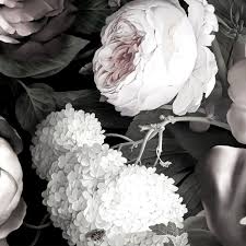 Black And White Floral Wallpaper Canada Dark Floral Ii Black Desaturated Xxl 300 Wallpaper Floral Wallpaper Black Floral Wallpaper Dark Floral
