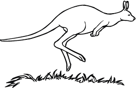 Color in this picture of a baby kangaroo and share it with others today! Free Printable Kangaroo Coloring Pages For Kids