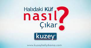 Halıdaki küf kokusu nasıl giderilir. Halidaki Kuf Lekesi Nasil Cikar Kuzey Hali Yikama