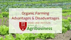 Advantages and disadvantages of natural home pest control. Organic Farming Advantages And Disadvantages Jli Blog