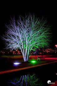 ligth tree eclairage de jardin idees exterieures design d amenagement paysager