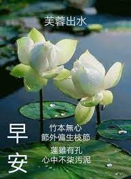 pin by e on 早安問候語 good morning greetings good morning flowers morning greetings quotes