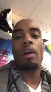 Erica Cambell interview