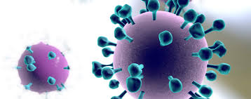 Image result for Virus