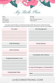 Birth Plans For First Time Moms Pdf Pin On Baby Prep Prepare And Celebrate With Tips And Tools