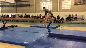 Girls Gymnastics Glenbard West Stevenson JV Invite 2017