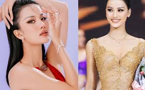 Nhan sắc người đẹp Gia Lai lọt top 5 Hoa hậu Hoàn vũ Việt Nam gây tranh cãi  vì trình độ tiếng Anh