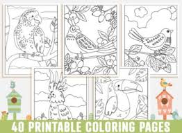 This ensures that both mac and windows users can download the coloring sheets and that your coloring pages aren't covered with ads or other web site download and print lots of pages and you can make your own colouring book! Bird Coloring Pages 40 Printable Bird Coloring Pages For Kids Boys Girls