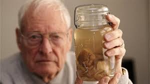 Miami Jewish Film Festival: 2024 Films