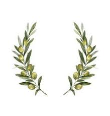 Royalty Free Vector Images By Meggichka Page 2 In 2020 Olive Branch Wreath Watercolor Vector Free