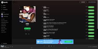 In fact, a majority of premium account holders use this feature too. Best Free Paid Spotify To Mp3 Converters Tunemobie