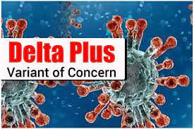 What is third wave of corona. No Evidence Delta Plus Variant Will Lead To Major 3rd Wave Of Covid India Top Genome Sequencer