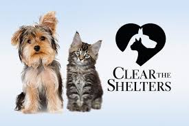 Open to the public monday saturday 1200 pm 300 pm after hours emergency union police. Ocean County Animal Facilities Hope To Clear The Shelters During Annual Adoption Event Ocean County Health Department