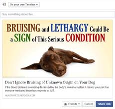 Healthy pets is looking for friendly pet supporters to fill veterinary technician, reception, and groomer positions. Mercola Healthy Pets Citation Mercola Com