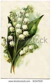 Pin By Margarita On Inspiration Lily Of The Valley Lilies Drawing Flower Painting