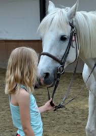 Hier vindt u een overzicht van traiteurs in schepdaal. Editiepajot Schepdaal Manege De Ponyhoeve Verwent Ruitertjes En Pony Tijdens Vakantie