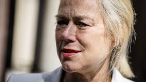 Sigrid kaag minister for foreign trade and development cooperation. Van Een Ijskonijn Een Knuffelbeer Maken Werkt Gelukkig Niet Oozo Nl