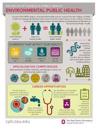 Image Result For Public Health Graduate Career Opportunities Infographic Health Public Health Career Public Health